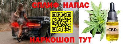 молекула духа Будённовск