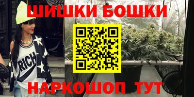 молекула духа Будённовск