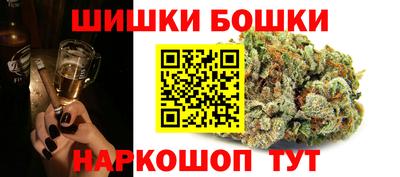 молекула духа Будённовск