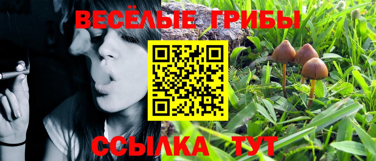 Магнитогорск  Псилоцибиновые грибы MAGIC MUSHROOMS  Вход с VPN  Псилоцибиновые грибы Psilocybine cubensis 