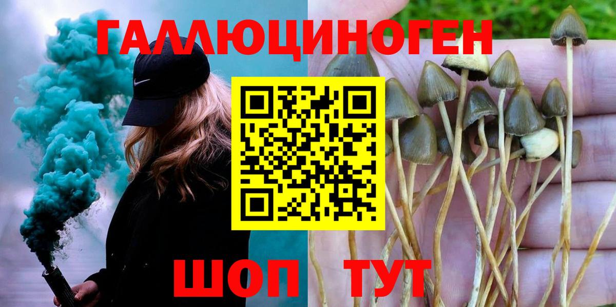 Галлюциногенные грибы GOLDEN TEACHER Магнитогорск